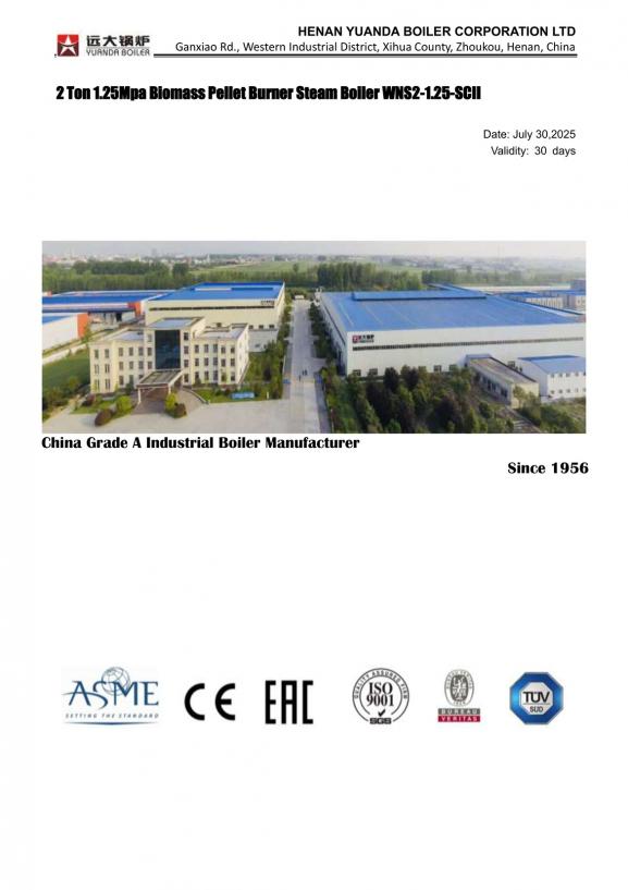 Yuanda Boiler WNS2 Biomass Pellet Burner Boiler